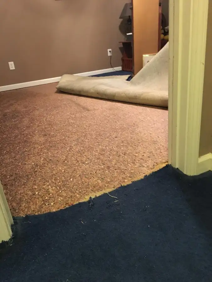 Carpet pad removal revealing water damage during Drying & Dehumidification in Lorain